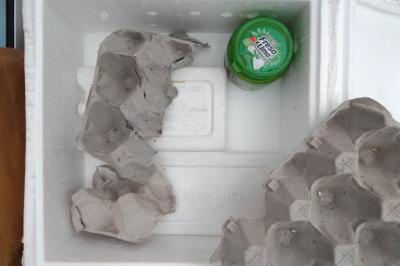 Cadáver remitido en caja demasiado grande con placas de hielo que no lo refrigeran 