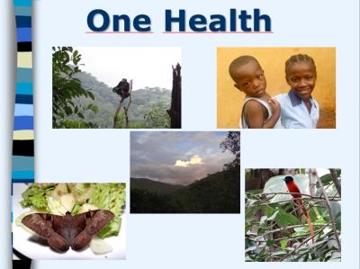 Enseñanza del concepto de One Health