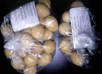 Remisión de huevos para examen post mortem - deben enviarse por separado, refrigerados y protegidos contra rotura 